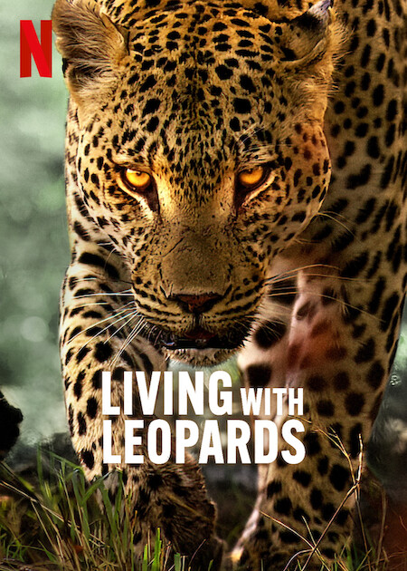 فيلم Living with Leopards 2024 مترجم حصرى اون لاين  أكثر من سيرفر
