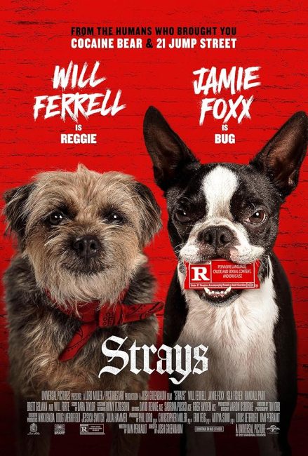 مشاهدة فيلم Strays 2023 مترجم