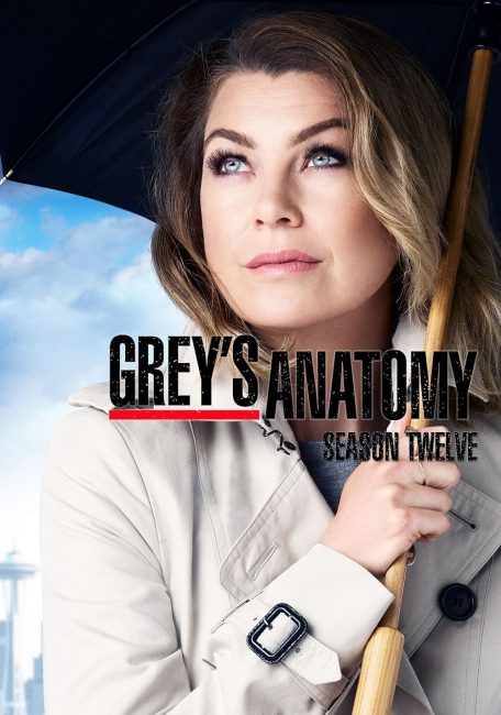 مشاهدة مسلسل Grey’s Anatomy الموسم 12 الحلقة 12 مترجمة