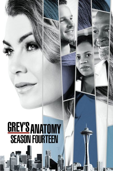 مشاهدة مسلسل Grey’s Anatomy الموسم 14 الحلقة 16 مترجمة