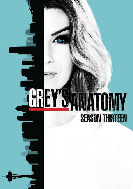 مشاهدة مسلسل Grey’s Anatomy الموسم 13 الحلقة 15 مترجمة