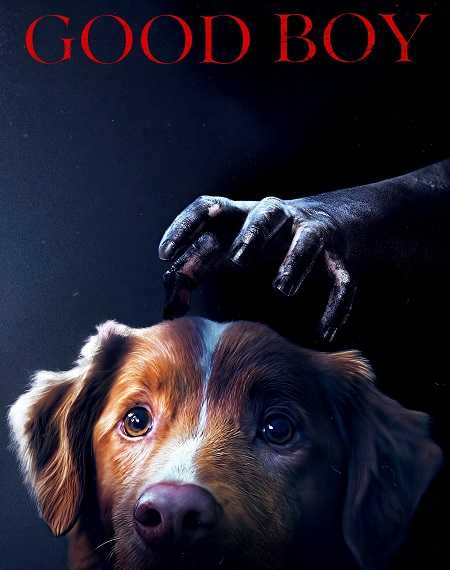 فيلم Good Boy 2025 مترجم