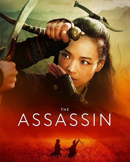 مشاهدة فيلم تحميل The Assassin 2015 مترجم