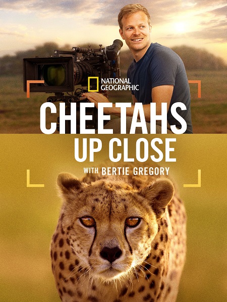 مشاهدة مشاهدة فيلم تحميل Cheetahs Up Close with Bertie Gregory 2026 مترجم