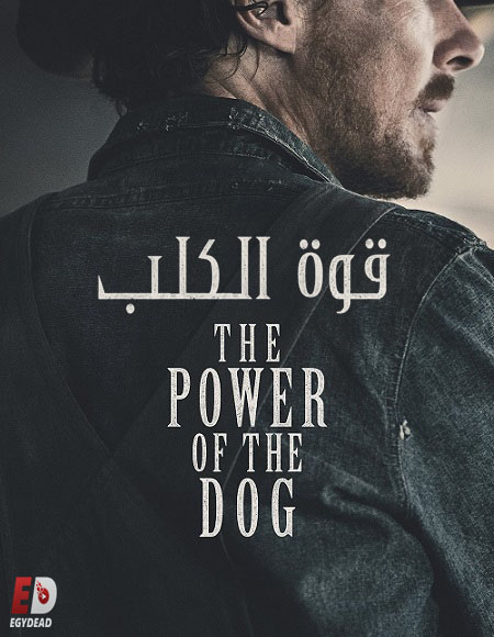 مشاهدة مشاهدة فيلم تحميل The Power of the Dog 2021 مترجم